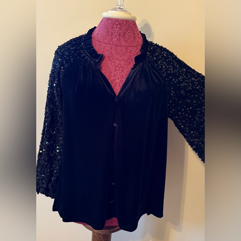 Umgee Black Sequin Sleeve Blouse